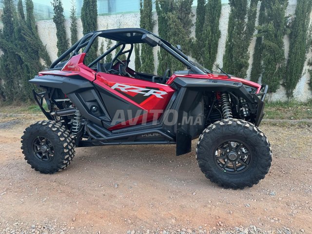 Buggy Polaris RZR PRO XP