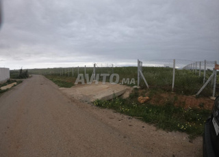 Terrain à vendre près d'Assilah