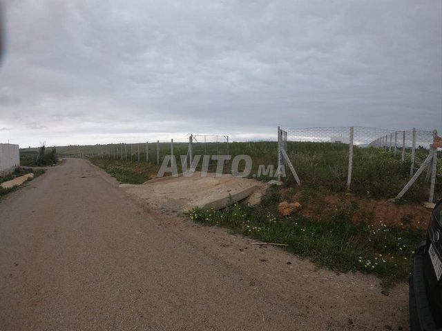 Terrain à vendre près d'Assilah