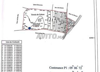 Vente terrain à Dar Jamaa.  Superficie 100000 m²