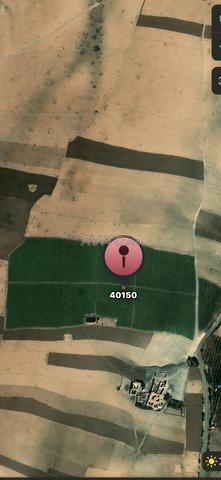 Loue terrain à Dar Jamaa. Superficie 100000 m²