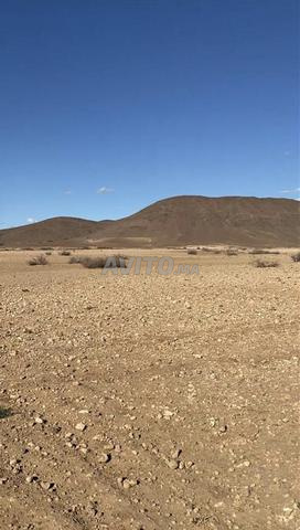 terrain titré constructible 1 hectar et 1037 m