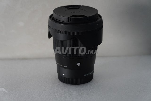 Sigma 16 mm f 1,4 Monture E