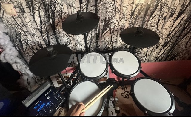 drums Alesis Nitro Max professionnel