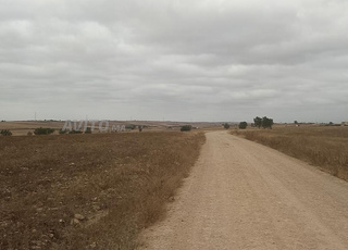 ارض فلاحية شياع للبيع