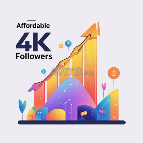 Affordable 4k Instagram Followers for You