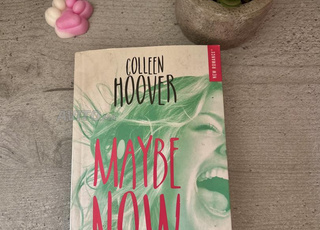 Livre “Maybe Now” – Colleen Hoover
