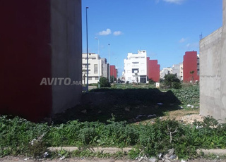 terain resident R plus3