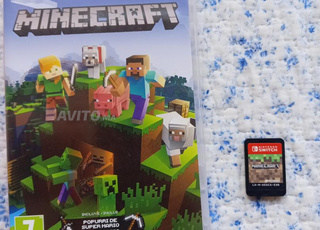 Minecraft pour switch 