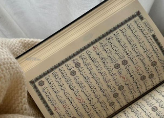 اولاد تايمة 