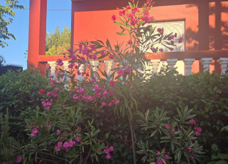 Maison de 180M2 avec 6 lot et piscine à Sidi Taibi