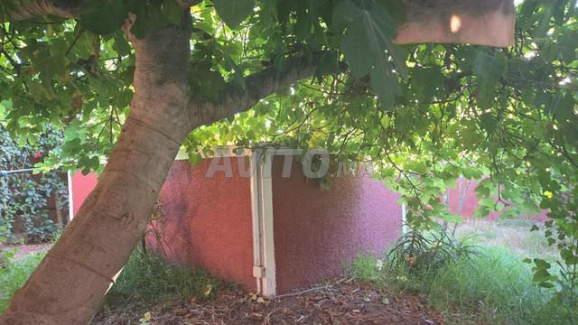 Lots Commerciaux (Sup 154 m2) à vendre à SidiTaibi