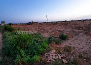 أرض فلاحية محفظة 