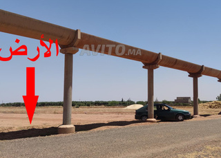 (الهمزة) 3.3 hectares titré.