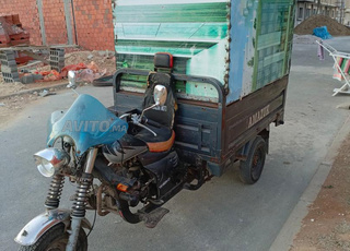 triporto 2020 yamazuki