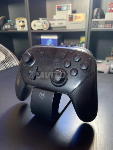 Nintendo switch pro controller
