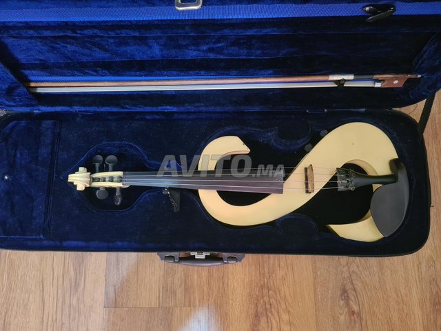 violon électrique 
