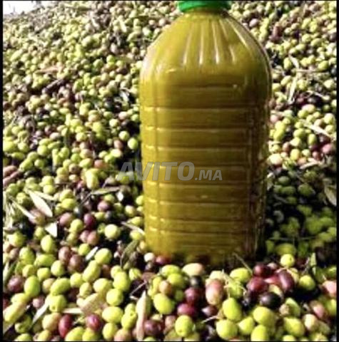 زيت الزيتون 🫒بلدي دوق عاد شري الزيت الحقيقي 