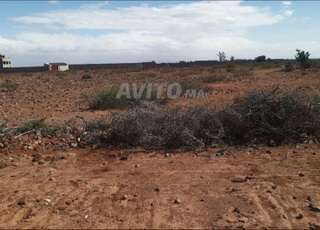 أرض للبيع 1 هكتار بدوار إكبار الدير نواحي أكادير