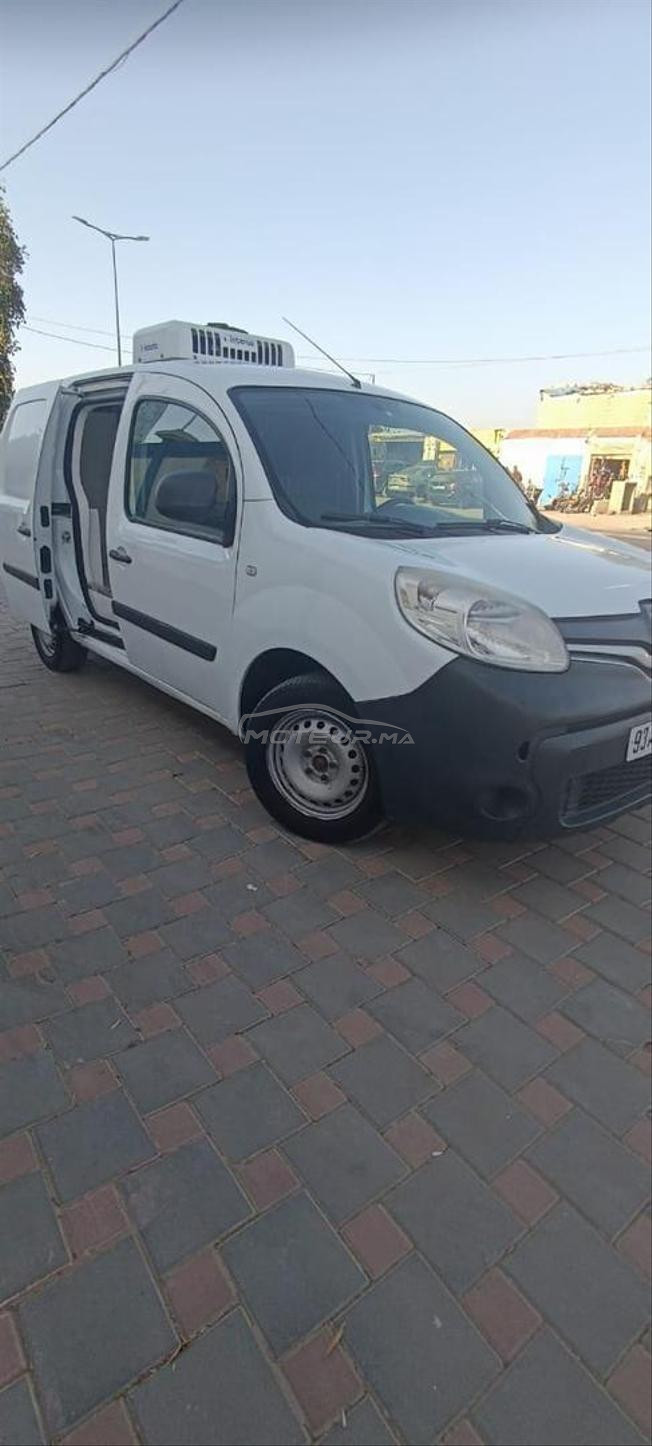 Kongoo frigorifié 