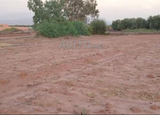 Terrain de 2800m² avec titre adoulaire