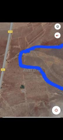 Terrain 16 ha à 25 min du Gd stade de Marrakech 