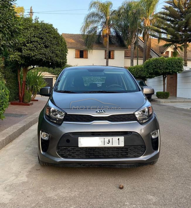 kia picanto 