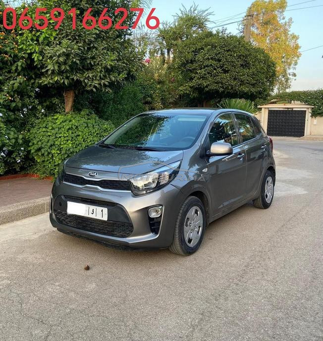 kia picanto 