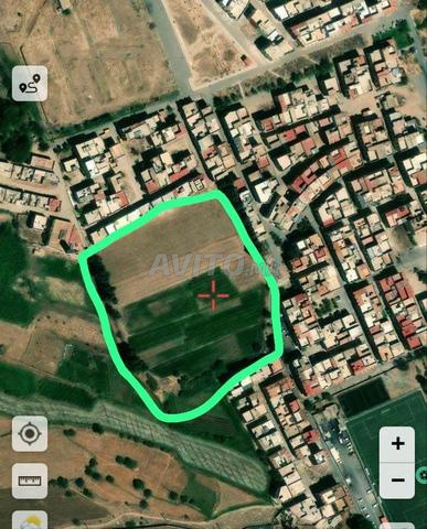 أرض للبيع   1 هكتار 89 ار 50 سنتيار              - 2