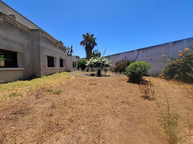 أرض رائعة بمساحة 1103 متر مربع مطلة على البحر في عين الدياب