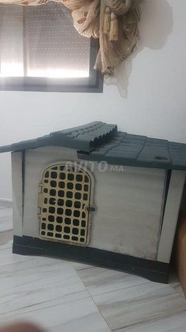 Maison chien de petit taille acheté à bricoma