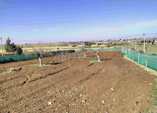 terrain clôturé titré avec plan villa