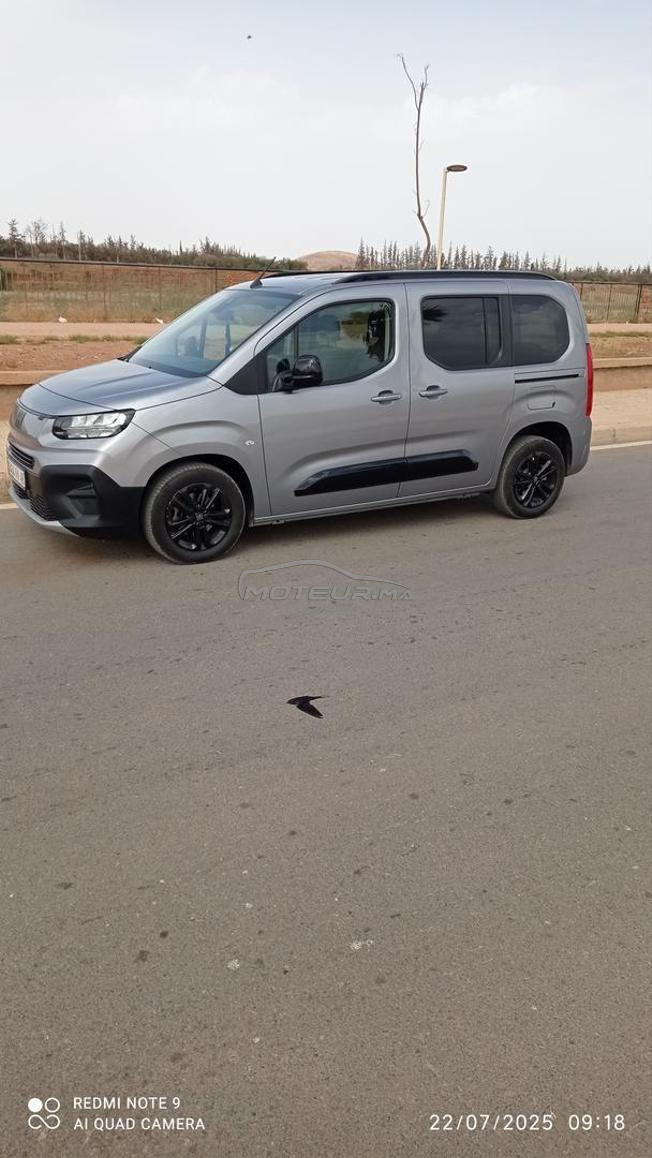fiat doblo tout option