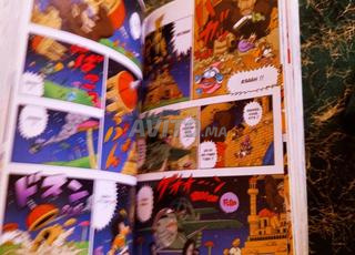 livre dragon balle sd