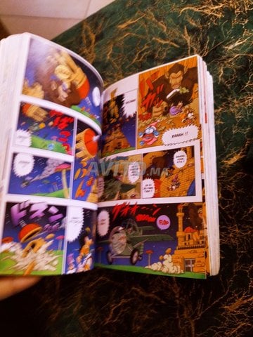 livre dragon balle sd