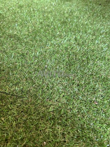 Gazon safina 20mm x 3 rouleaux 44m2