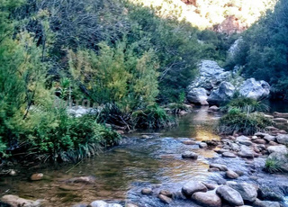 Terrain titré Akchour pour projet touristique