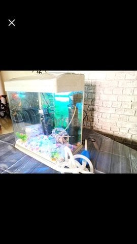 Aquarium original avec ses accesoirs exelt etat