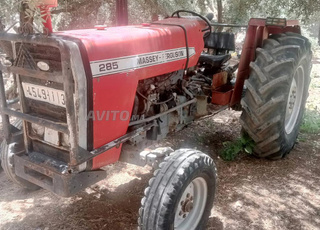 tracteur massey ferguson 285