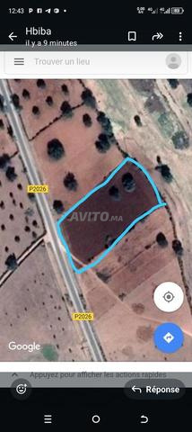 terrain à vendre,a el hanchane