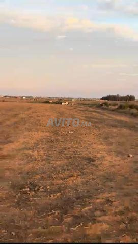 هكتار ثمانية خدامة و بئر فمقام طلبة - 2