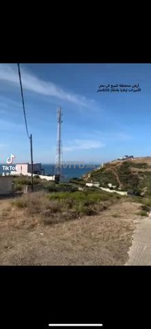 أرض محفضة للبيع في شاطئ الأميرات405m
