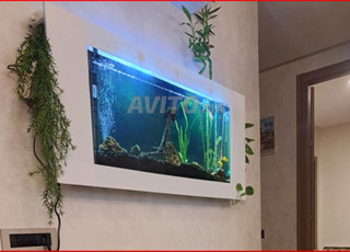 aquarium plasma