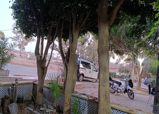 Arbre de décoration 