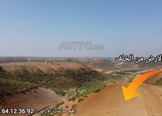 أراض فلاحية 2 هكتارات و 6028 متر محفطة
