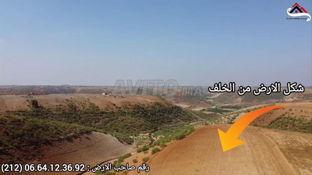 أراض فلاحية 2 هكتارات و 6028 متر محفطة