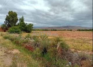 Terrain à vendre 11.000 m²