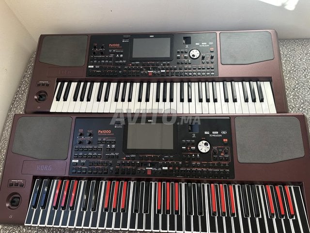 korg pa1000 tres bon etat