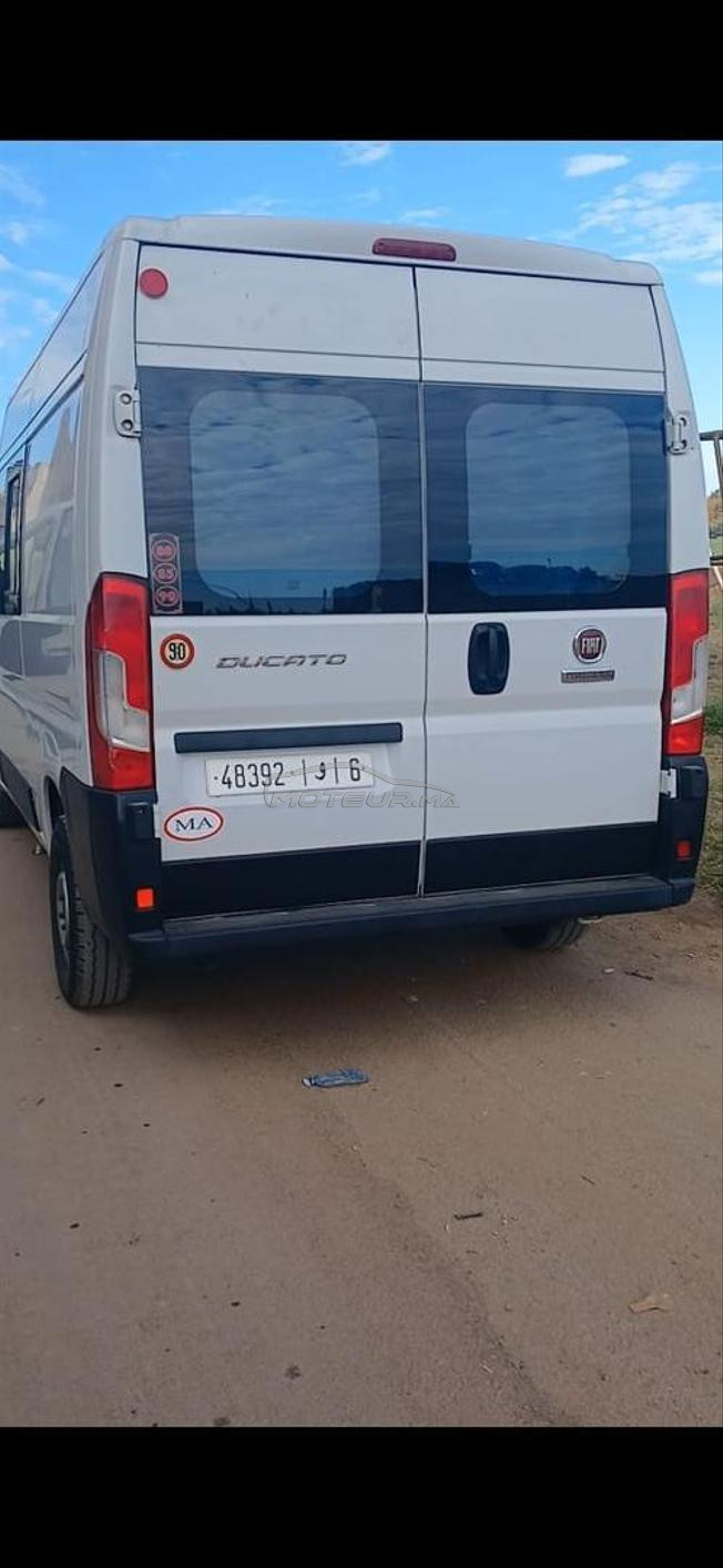 Fiat Ducato Diesel Manuelle 2019 à Midelt