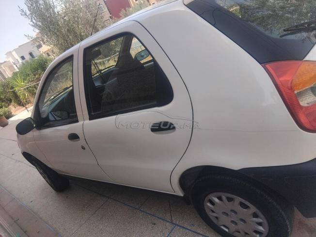 palio 